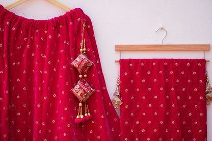 Designer Velvet Lehenga with Traditional Embroidery