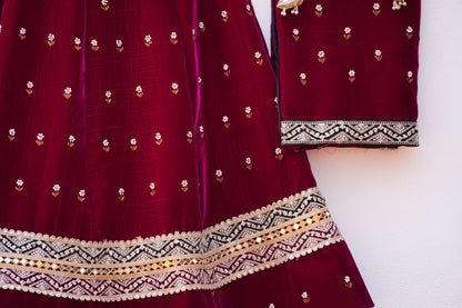 Designer Velvet Lehenga with Traditional Embroidery